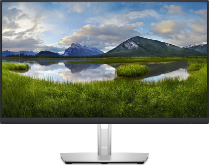 Монитор 23.8" Dell P2423DE (210-BDDW)