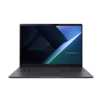 Ноутбук Asus ExpertBook B3 B3605CVA-MB0117 (90NX08J1-M003T0)