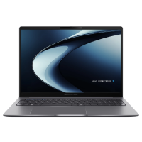 Ноутбук Asus ExpertBook P3 P3605CVA-MB0105 (90NX08C1-M003M0)