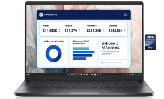 Ноутбук Dell Pro 14 Premium PA14250 (210-BPFF_4)