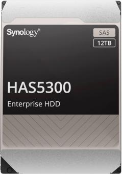 Жесткий диск 12 Tb Synology Enterprise HAS5300-12T